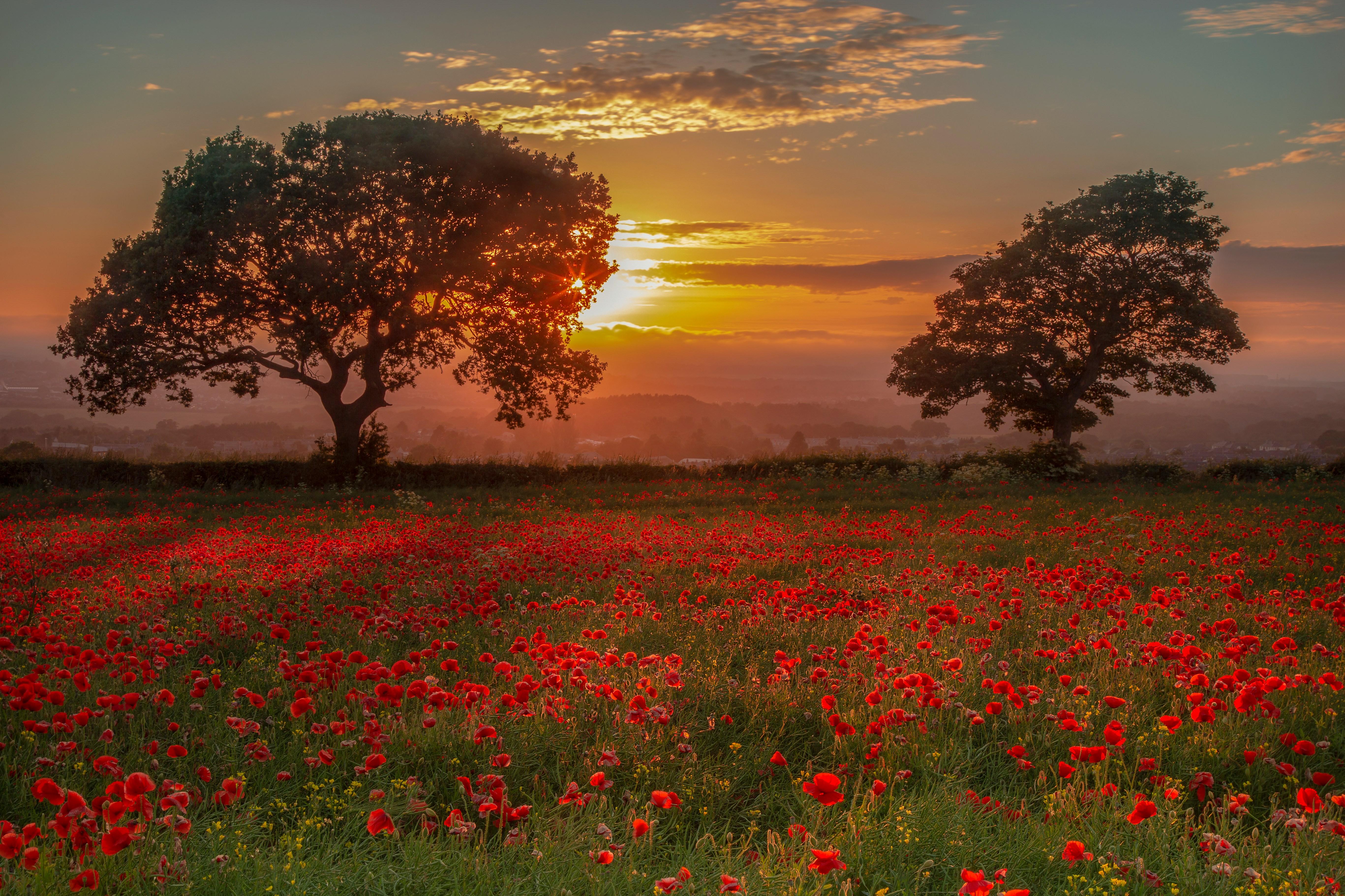 Warm dusk light — the mood of relational depth