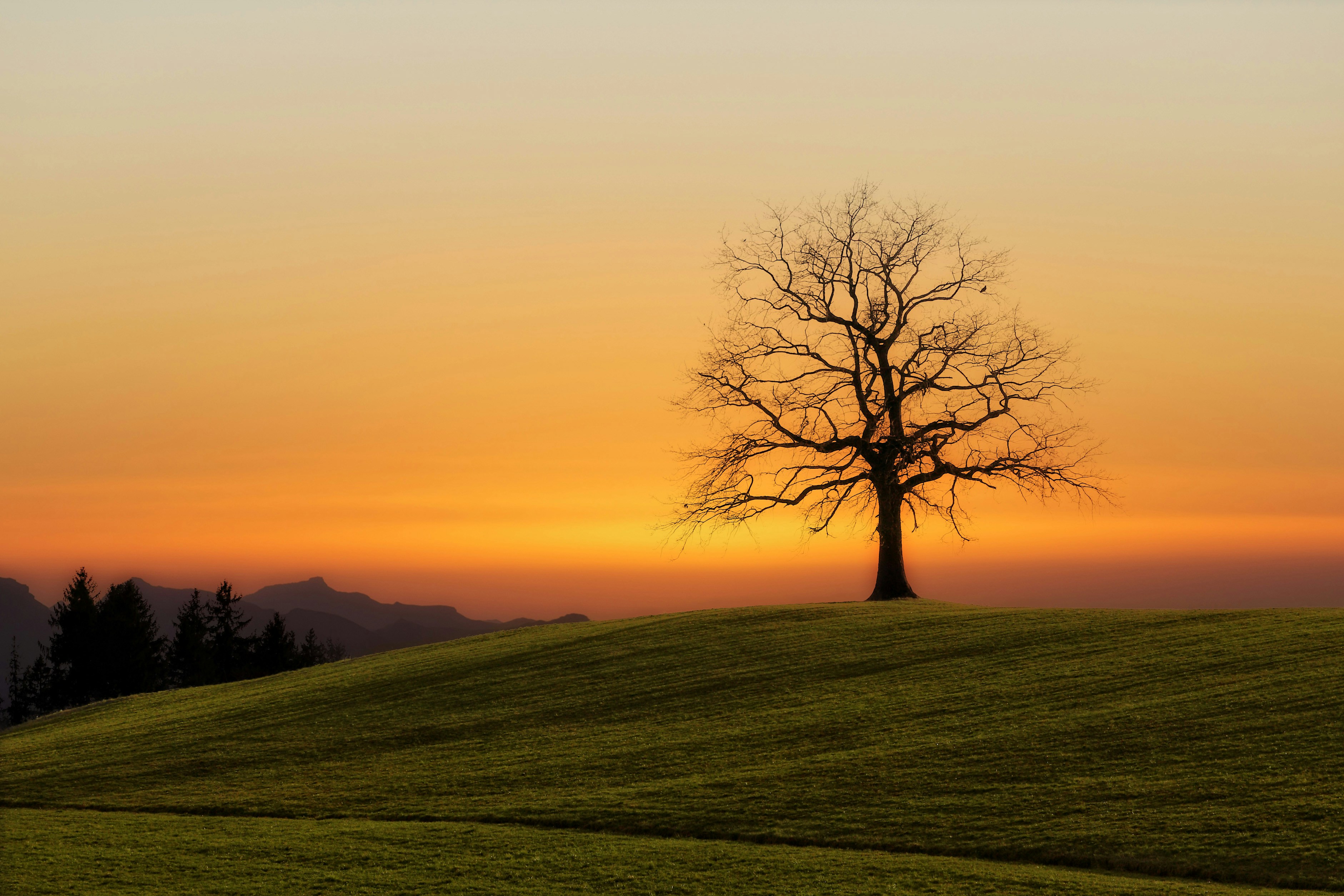 A warm landscape at dawn — grounded emergence