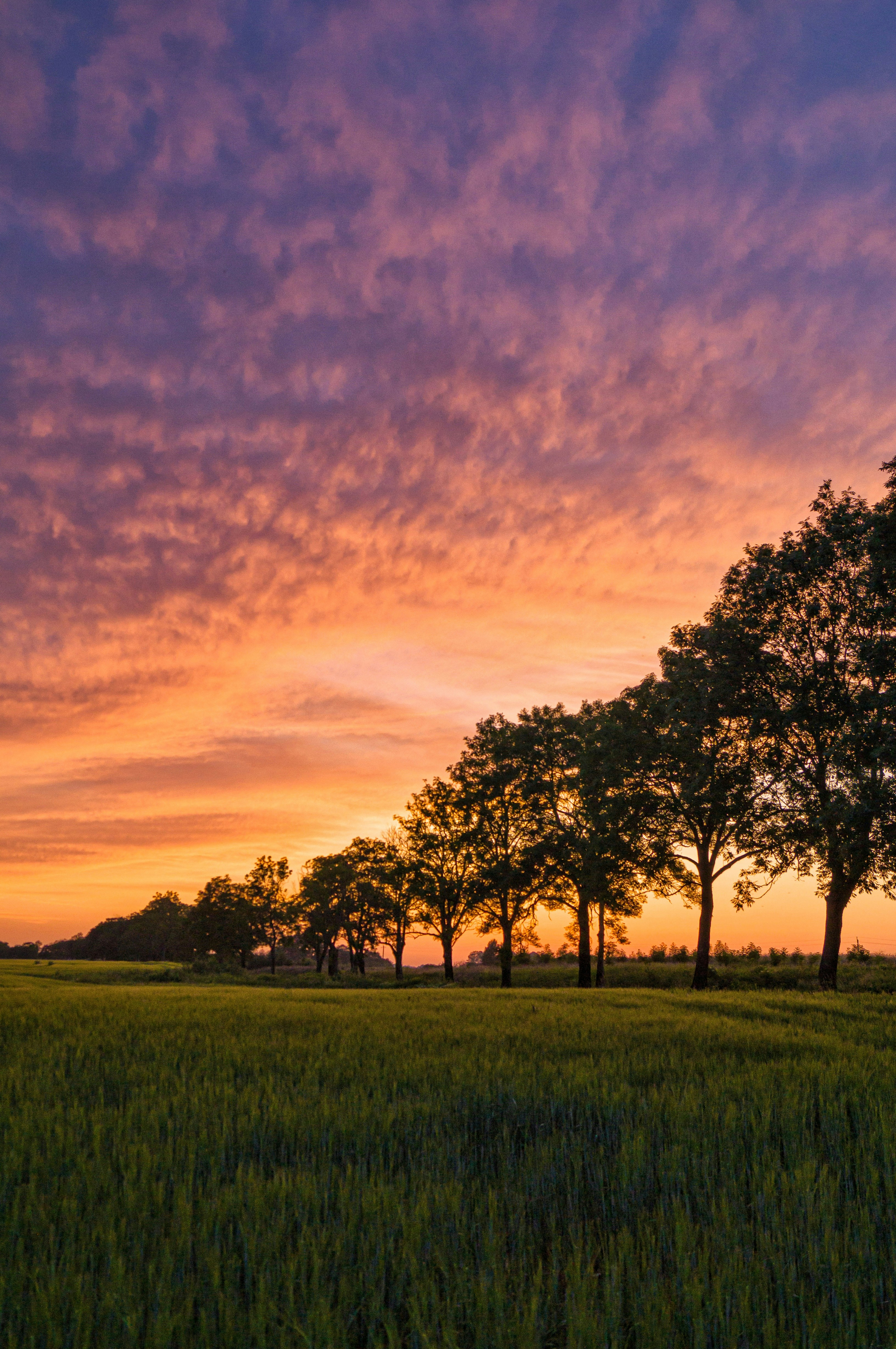 A warm landscape at dawn