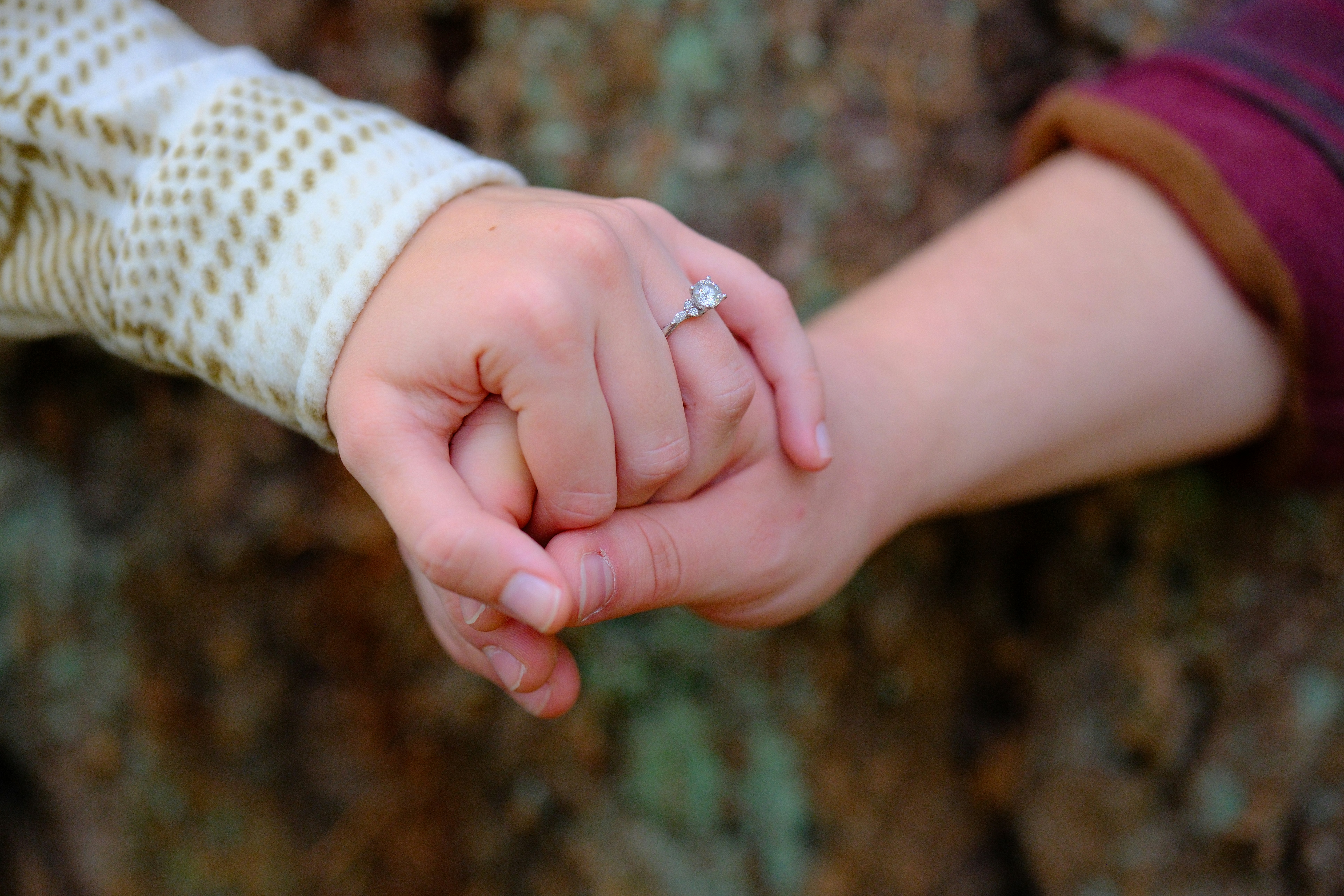 Partnering